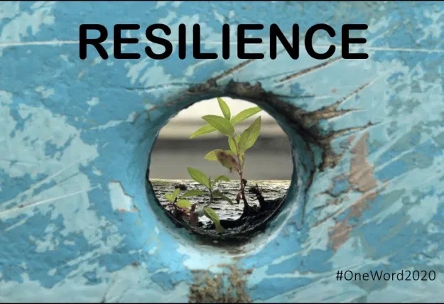 resilience-revisited-daily-ink-by-david-truss